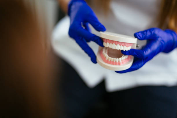 Trusted Sanford, CO Holistic Dental Care Services Experts